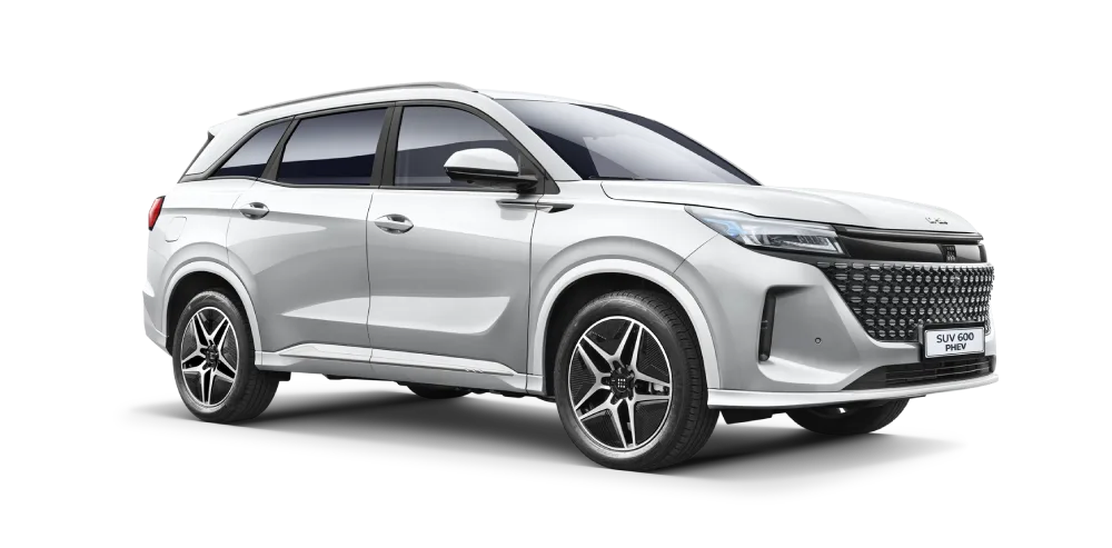 600 PHEV - Gris